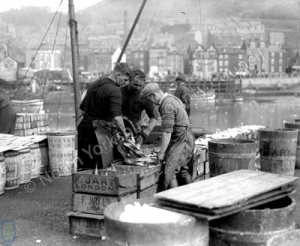 Fish Packing in Scarborough Harbour